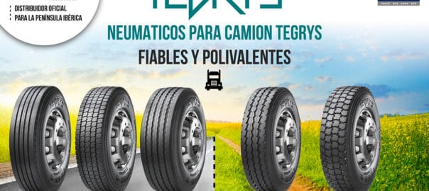 neumaticos camión tegrys