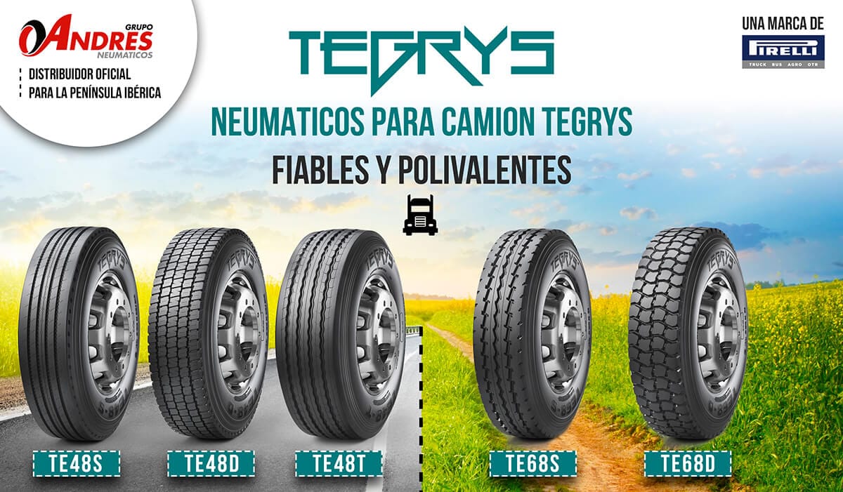 neumaticos camión tegrys